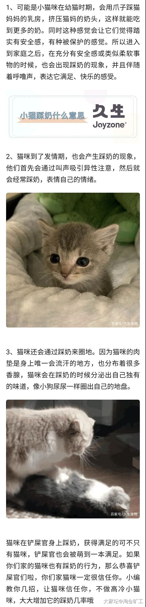 钢铁直男在线想妈妈了~_猫