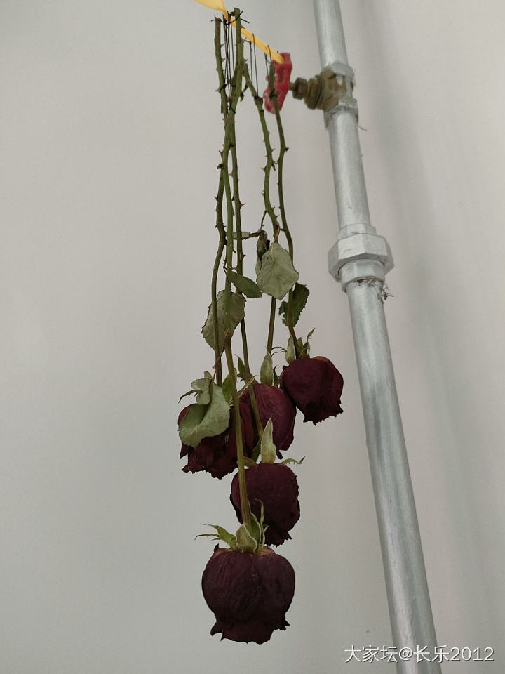 不开心，做个手工_手工diy