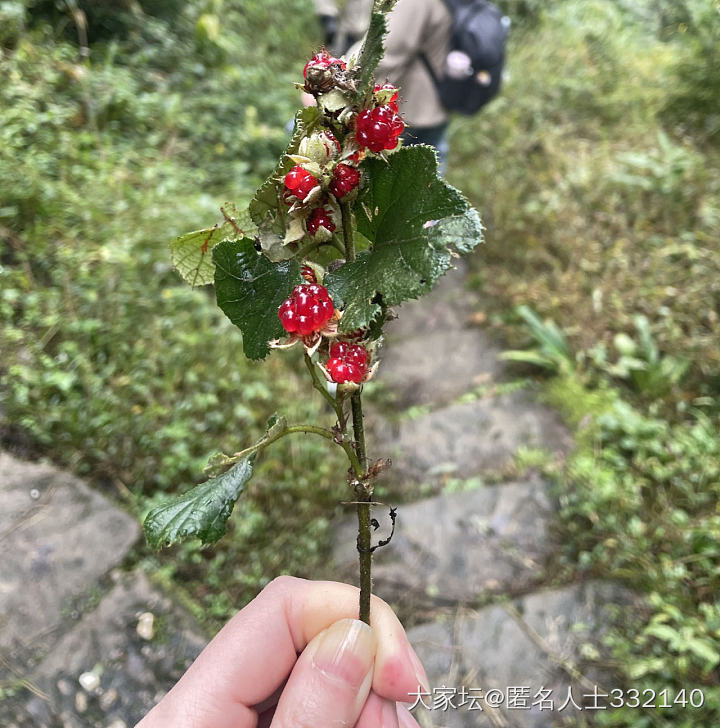 玻尿酸填充鼻基底，和太阳穴凹陷 有姐妹做过么，刚做了4D ，有法令纹和太阳穴凹陷..._医美