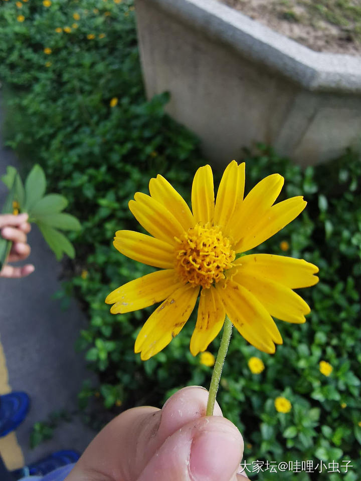 万物生长在南国_植物