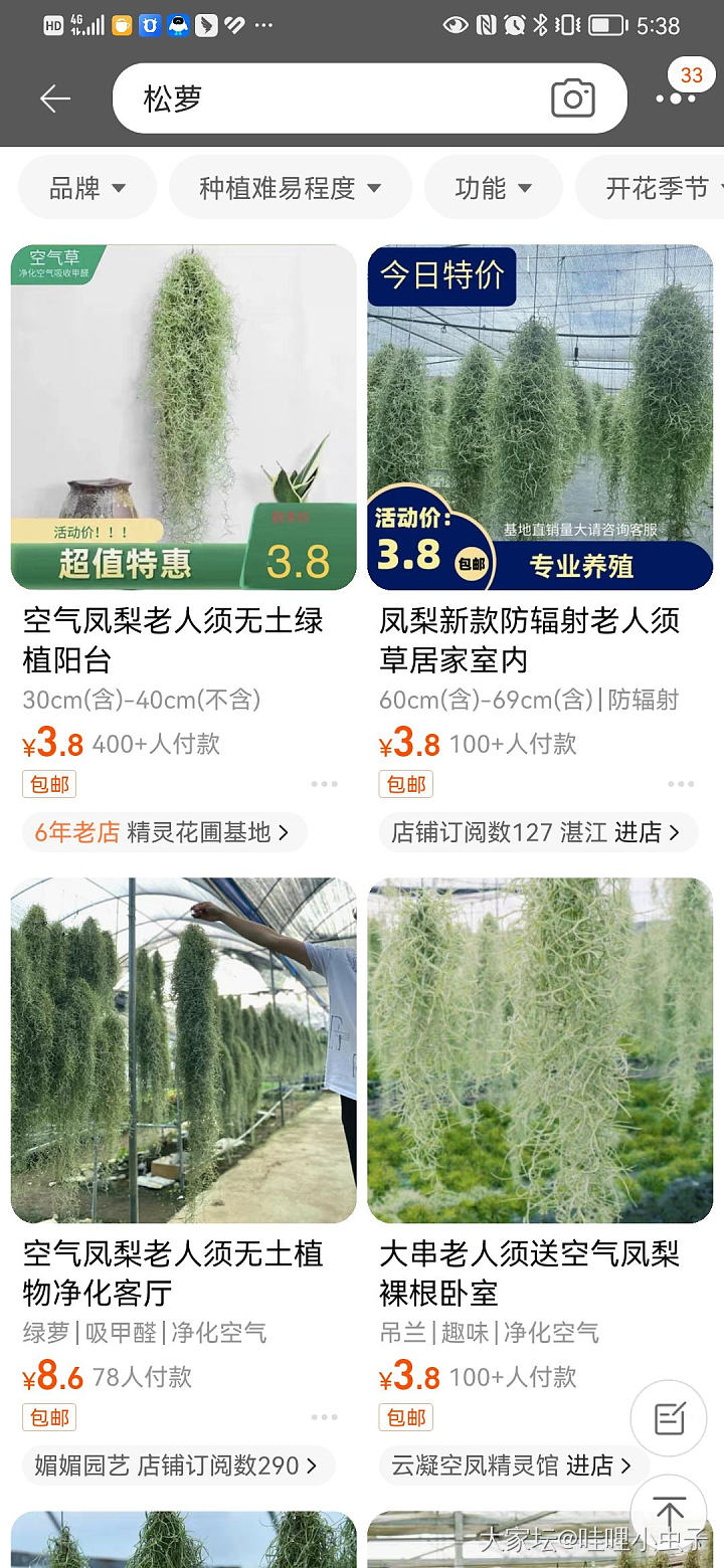 万物生长在南国_植物