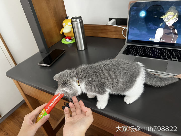 👧与🐱_猫