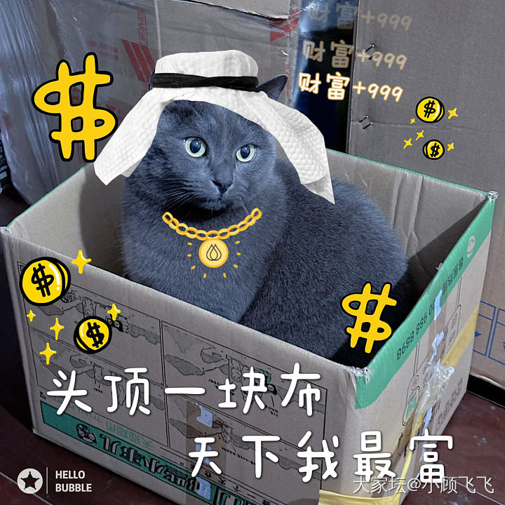 求推荐好的猫咪主食罐头或者主食猫条_猫宠物闲聊