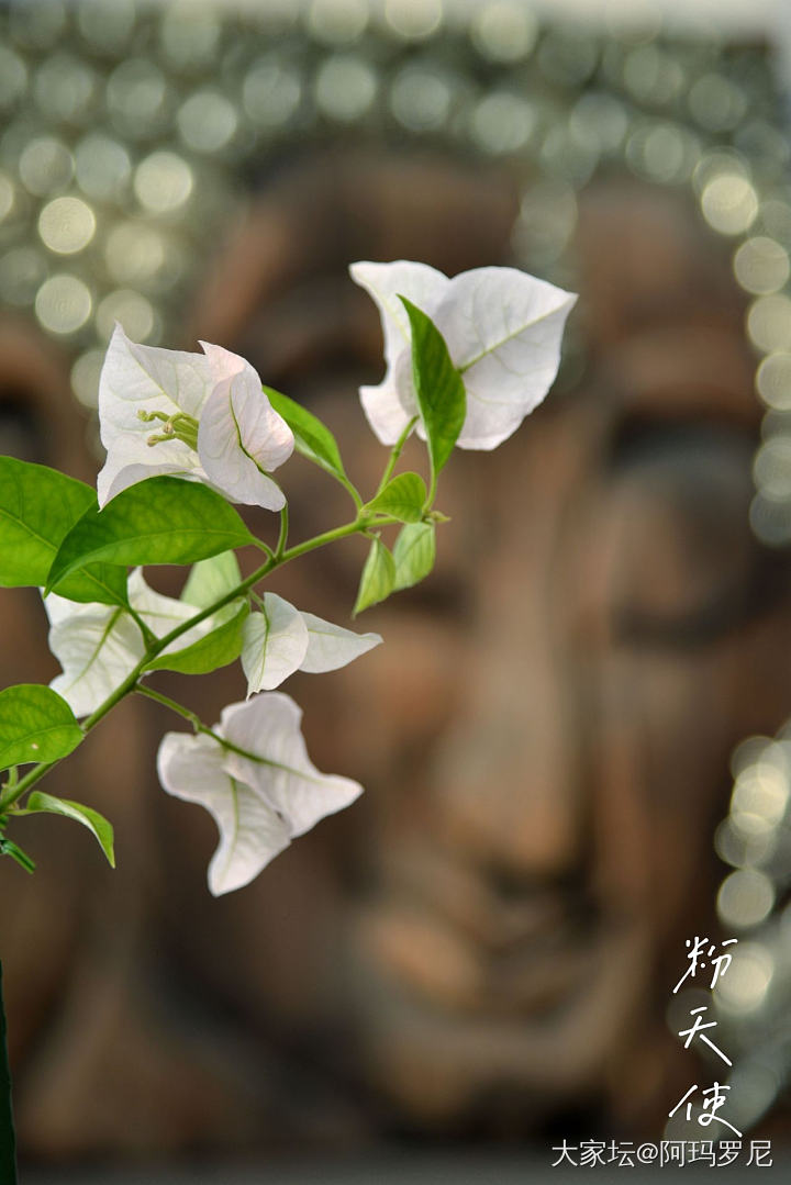 花花世界_生活