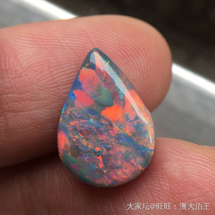 阴天室外光拍的相片_欧泊