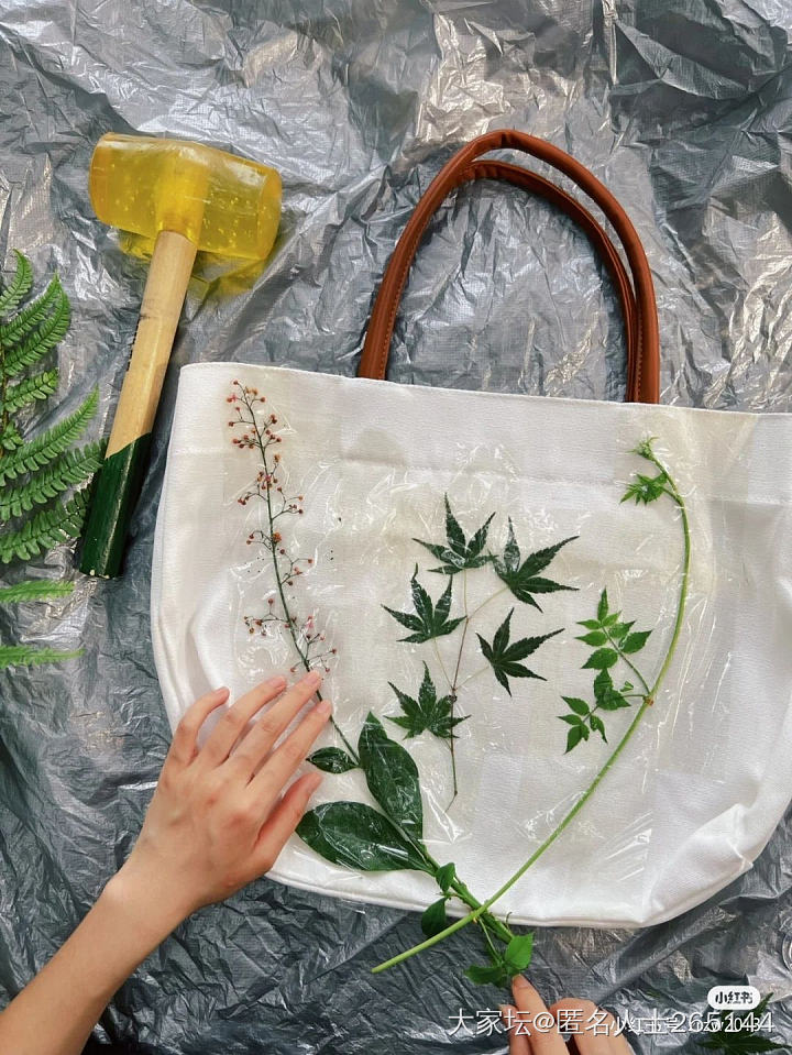 植物拓染看起来好有趣_手工diy