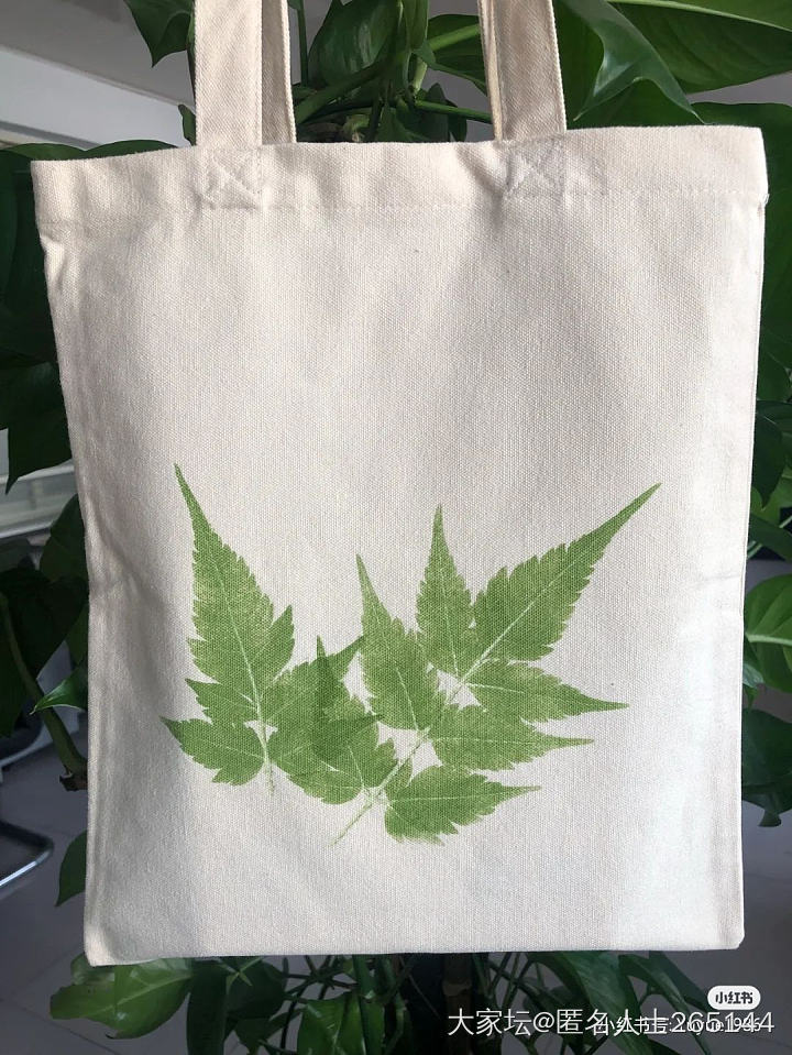 植物拓染看起来好有趣_手工diy