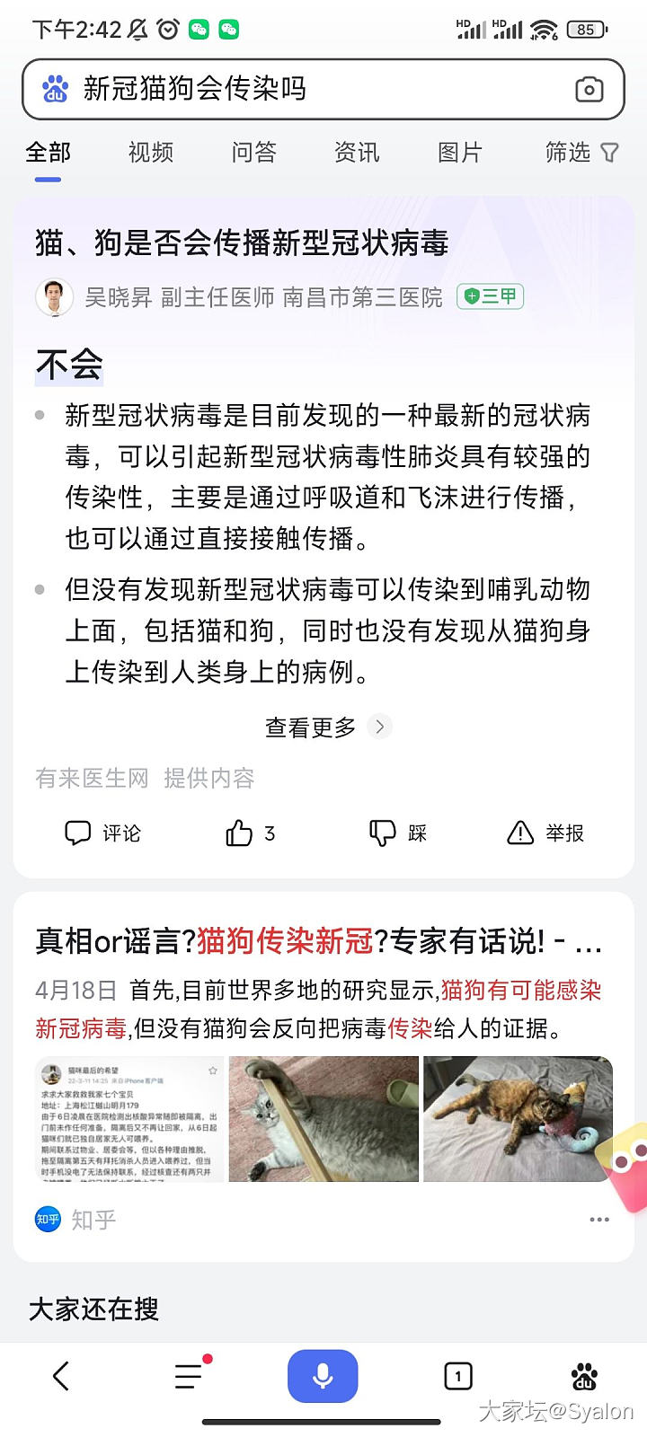 问一下阳过的姐妹家里有宠物的_宠物健康