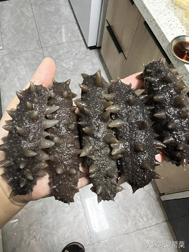 泡发海参小能手_食材