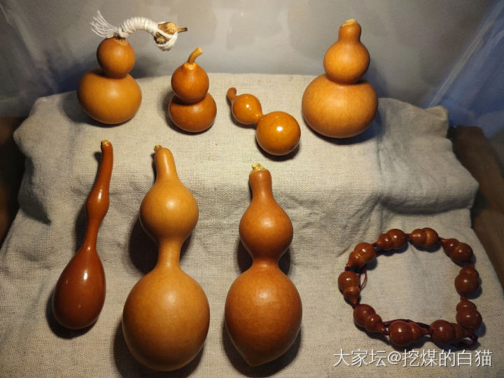 给我的葫芦们安个家😁_葫芦文玩