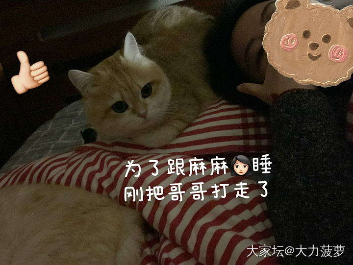 #傻幺儿#素质有，但不多_猫