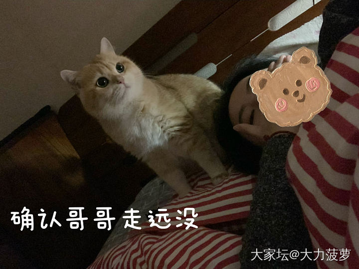 #傻幺儿#素质有，但不多_猫