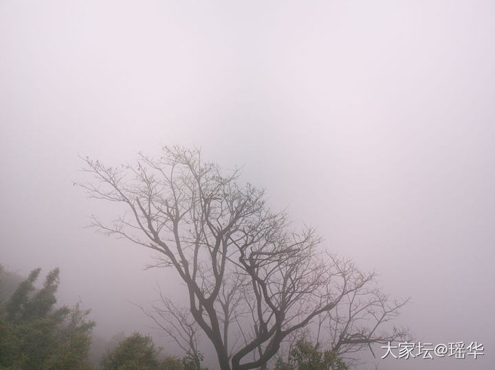 有意境的石头，_原石和田玉