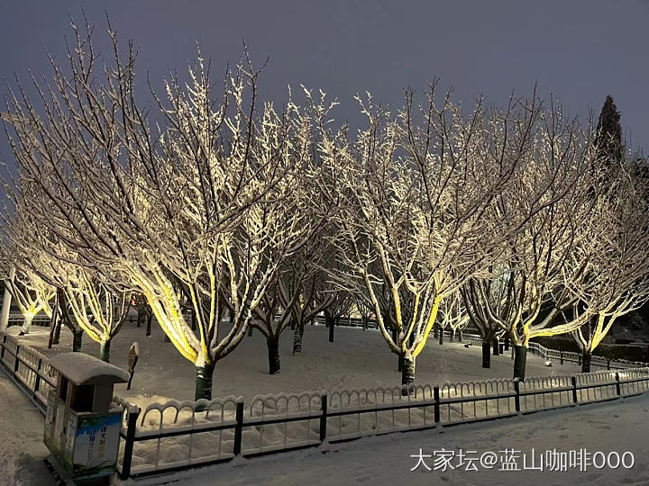 2023年第一场“雪花秀”_闲聊