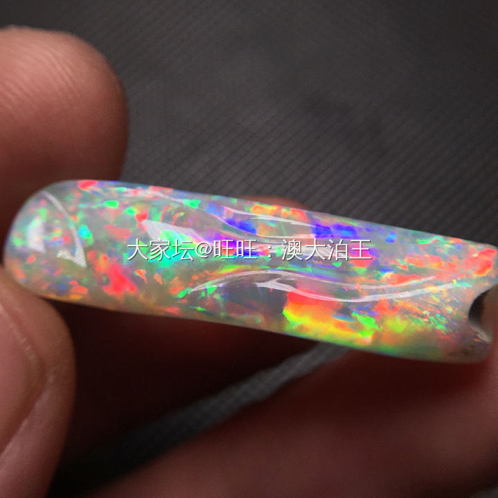 澳洲箭石龙虾须化石天然欧泊宝石_欧泊彩色宝石