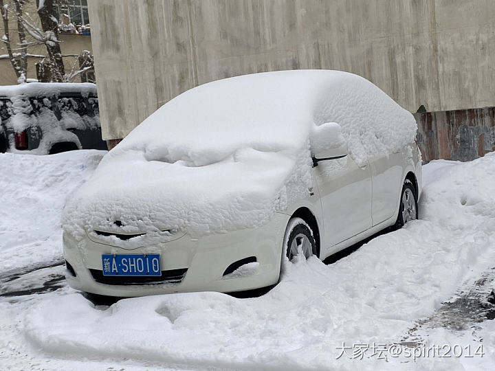 瑞雪兆丰年。23年一定会越来越好。_闲聊