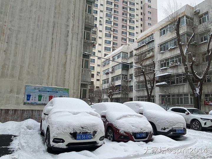 瑞雪兆丰年。23年一定会越来越好。_闲聊