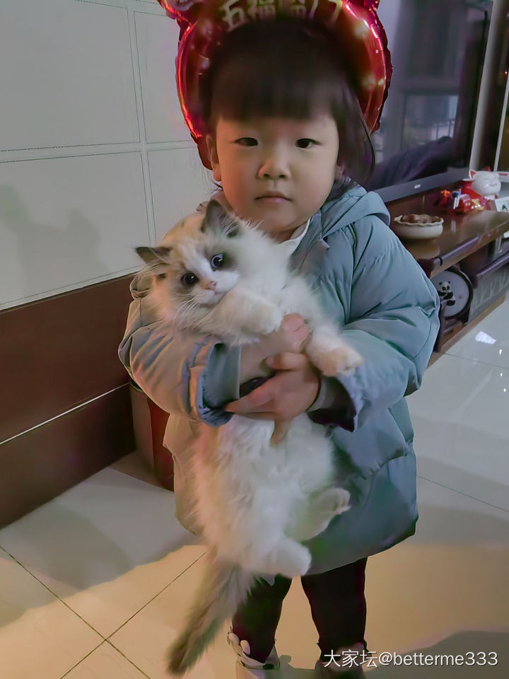 猫咪与娃_猫