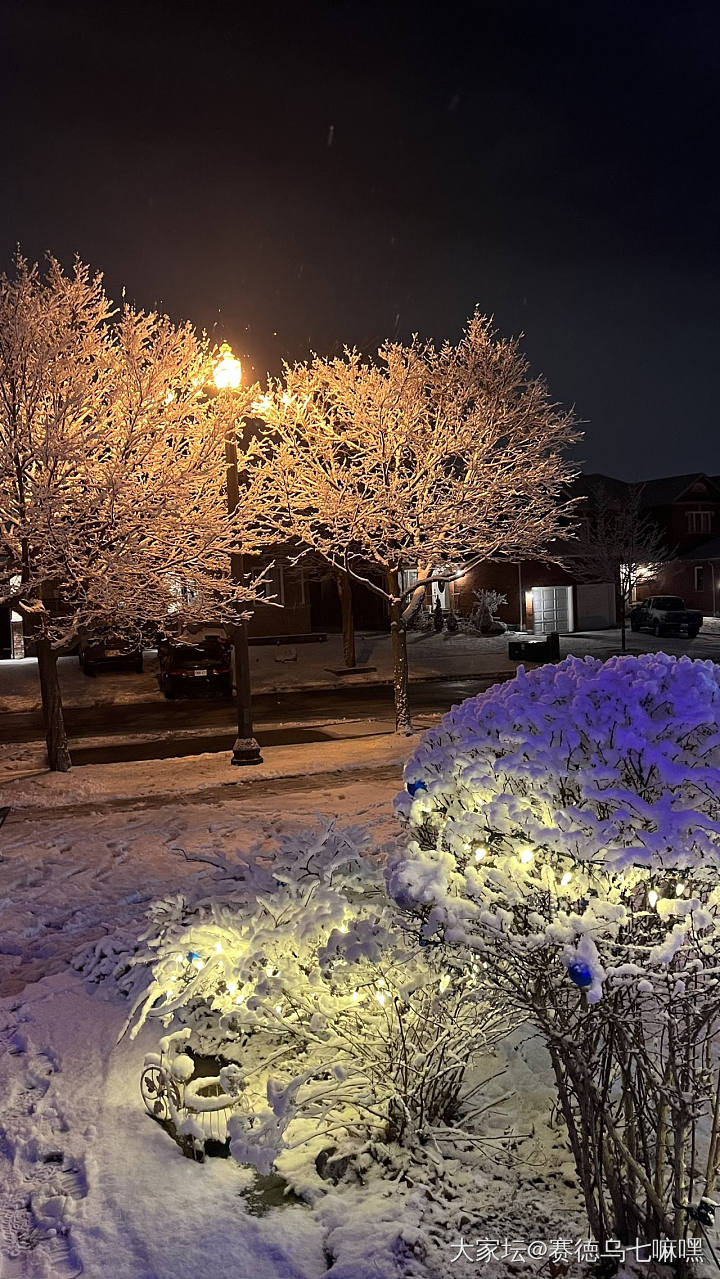 瑞雪照丰年，大年初一的瑞雪_景色