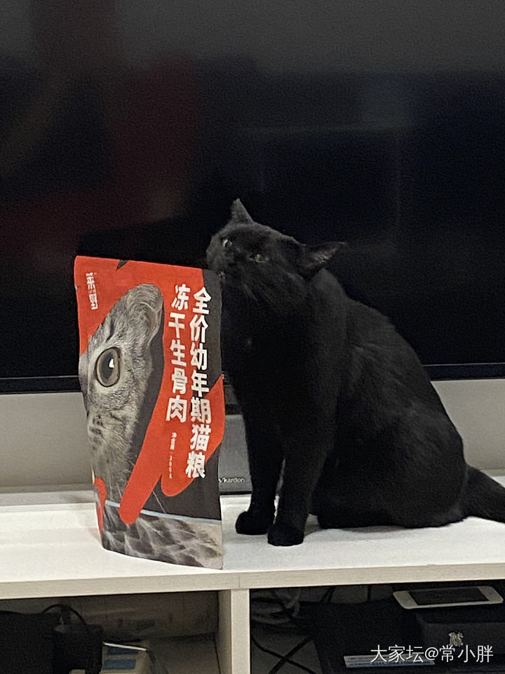 猫肥家润_猫