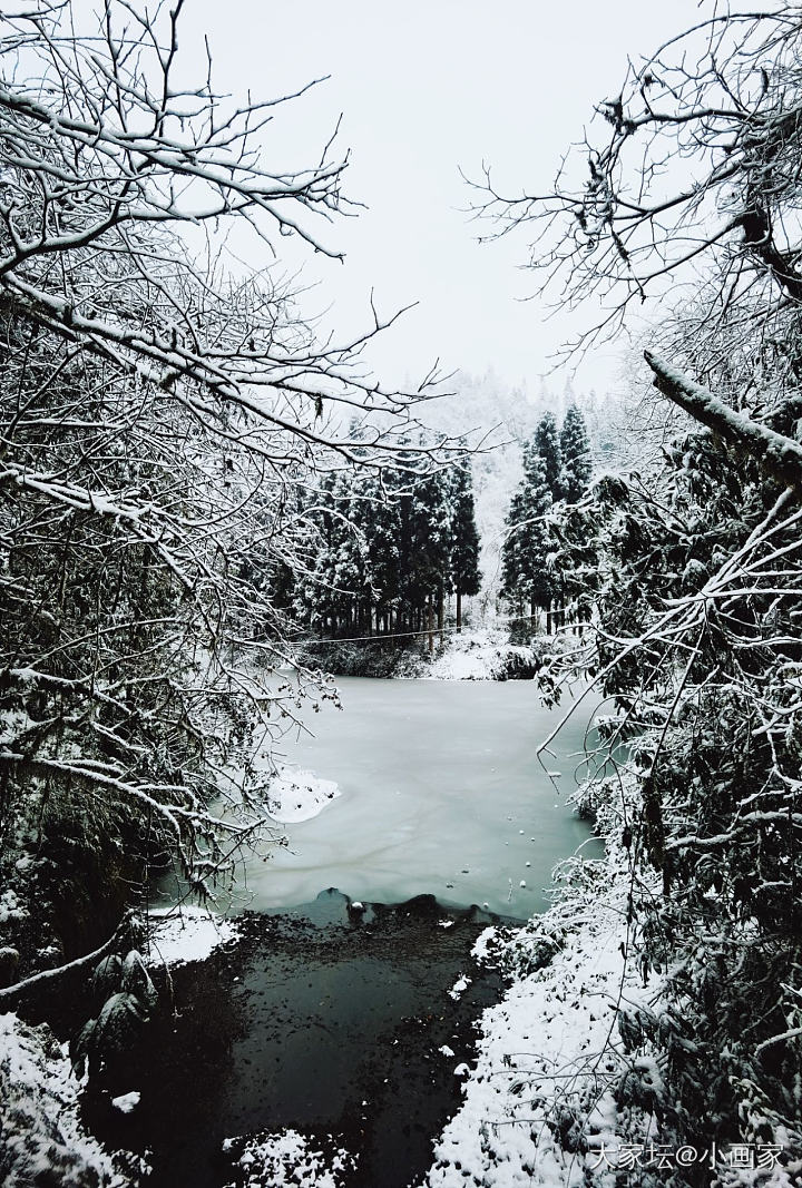 雪中松石_闲聊玉髓玛瑙