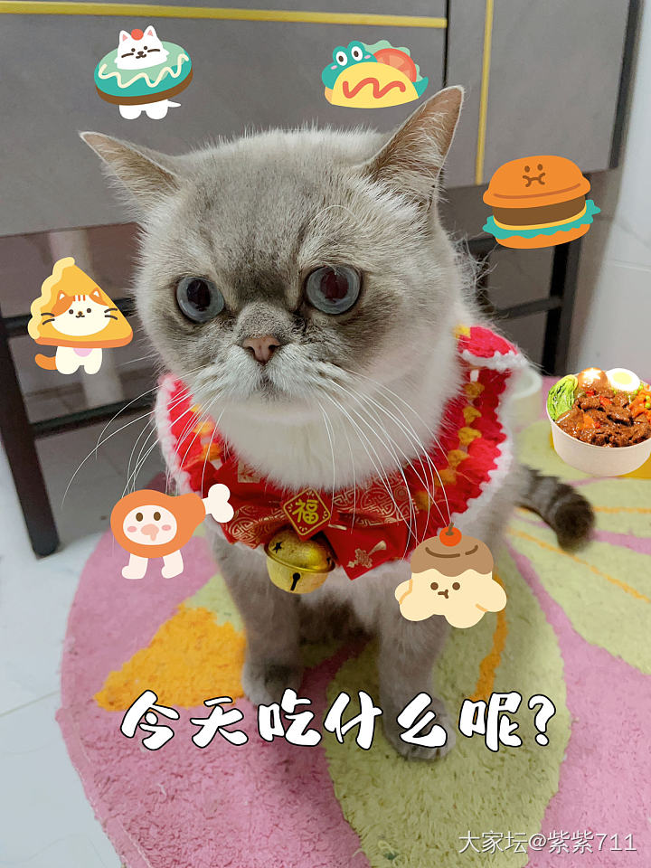 每天都在烦恼吃什么呢？_生活猫