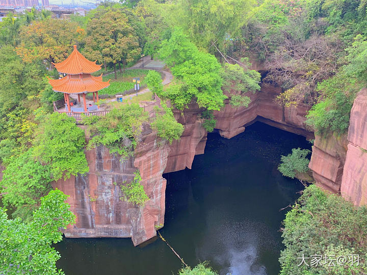 小镇悠闲时光_旅游生活宠物