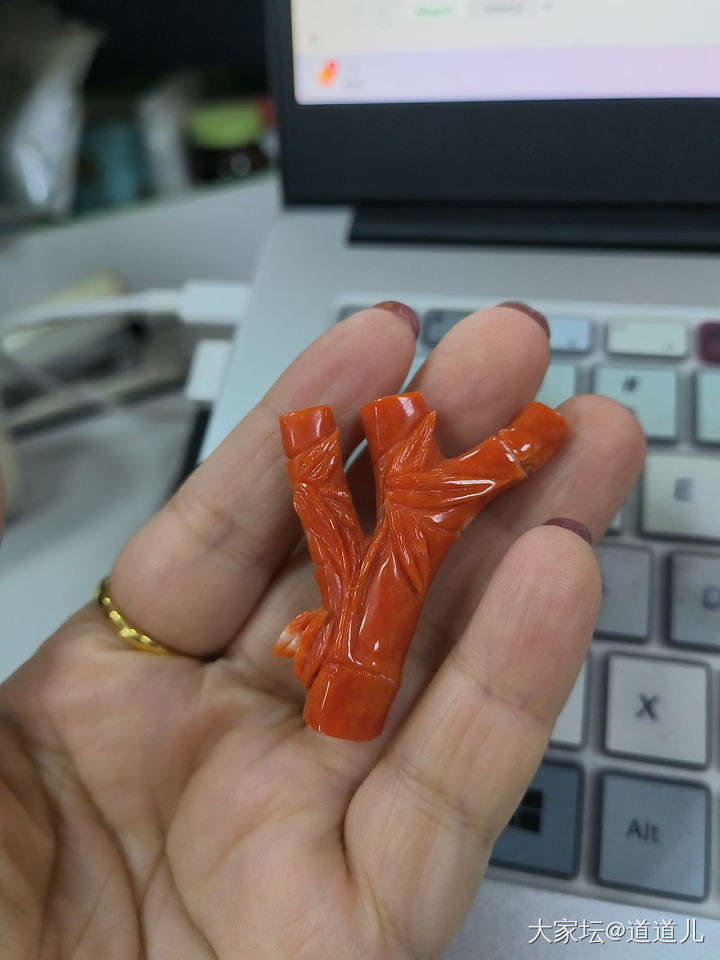 得一个心头好_珊瑚有机宝石