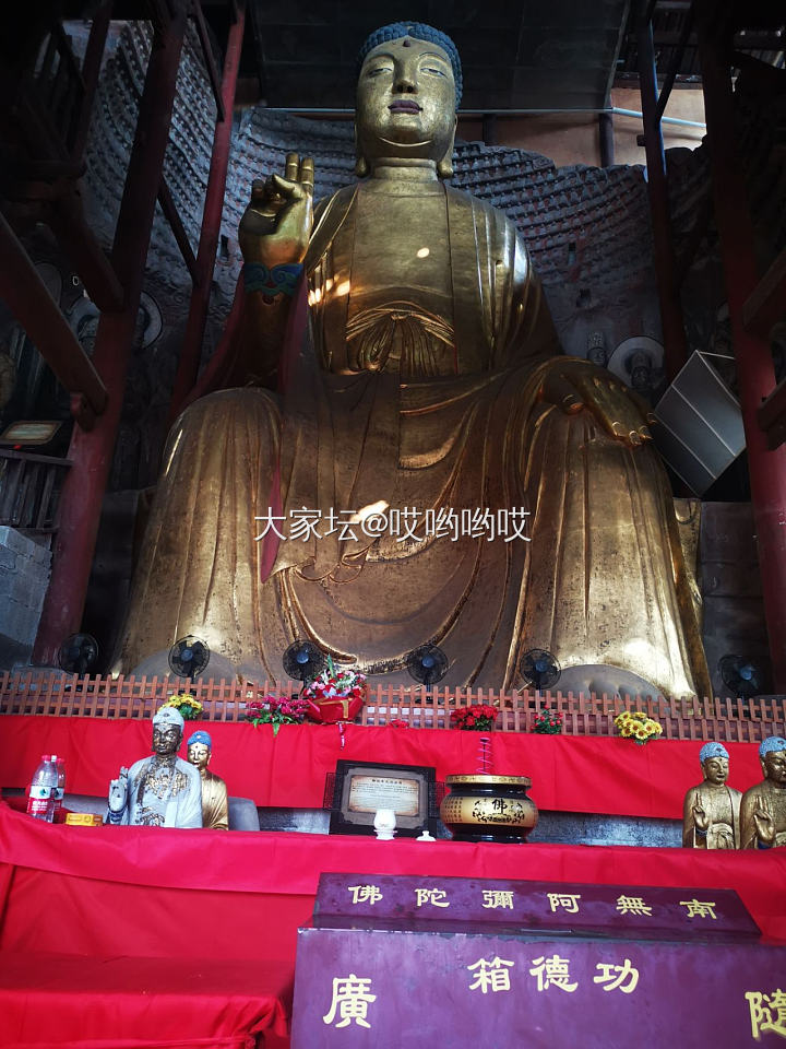 🙏佛主，见则佑。