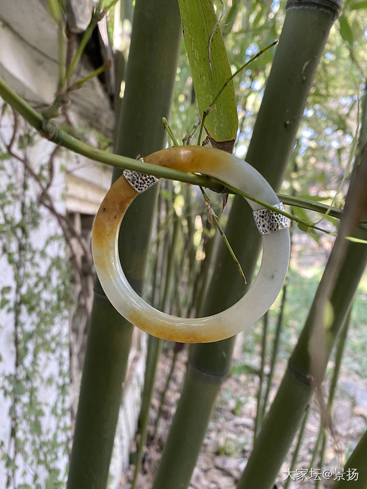 带着蜜糖逛园子_古董首饰玉石手镯