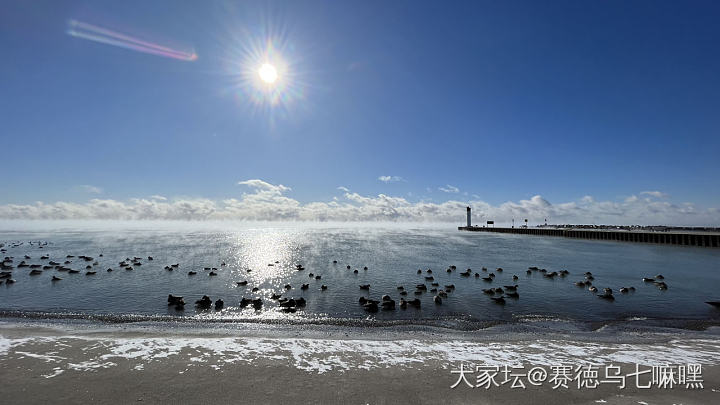 今天的太阳就像冰箱里的灯泡_景色