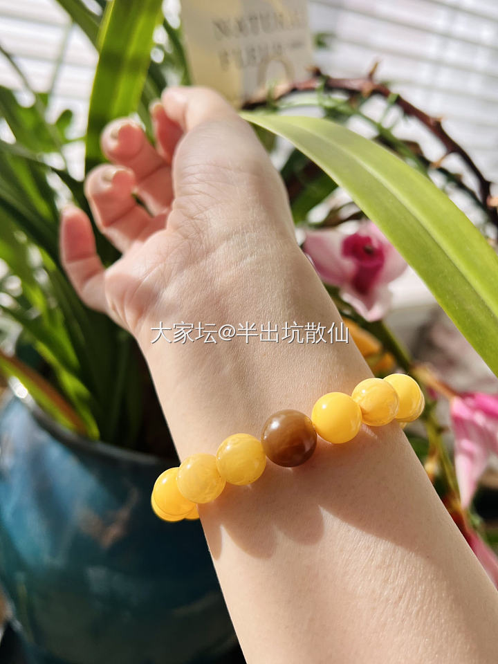 阳光下的蜜蜡显得不那么真实_珠串琥珀蜜蜡