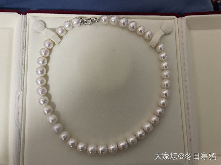 性价比非常不错的珍珠项链_珍珠