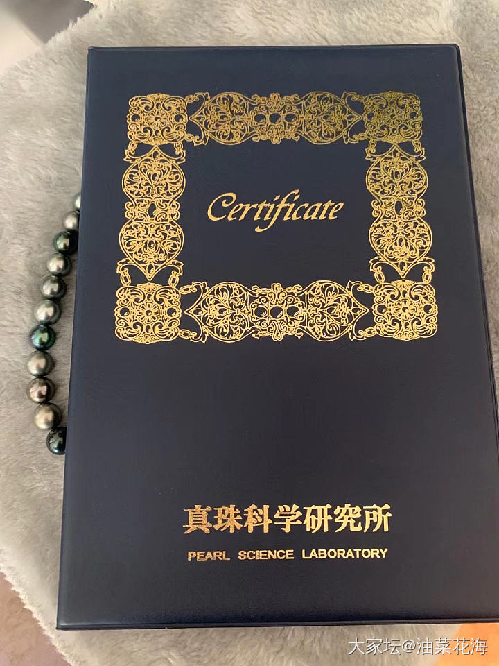 啥也不懂求坛友给看看怎么样_珍珠