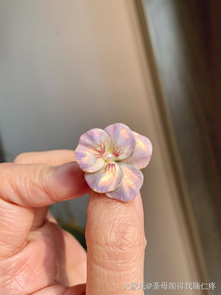 用不凋零的三色堇—新艺术幻彩珐琅_古董首饰金首饰