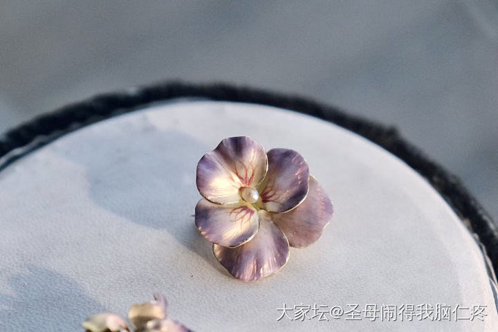 用不凋零的三色堇—新艺术幻彩珐琅_古董首饰金首饰
