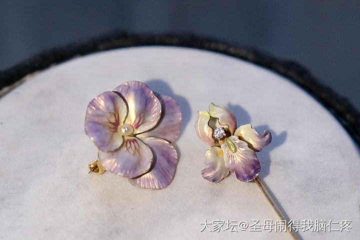 用不凋零的三色堇—新艺术幻彩珐琅_古董首饰金首饰