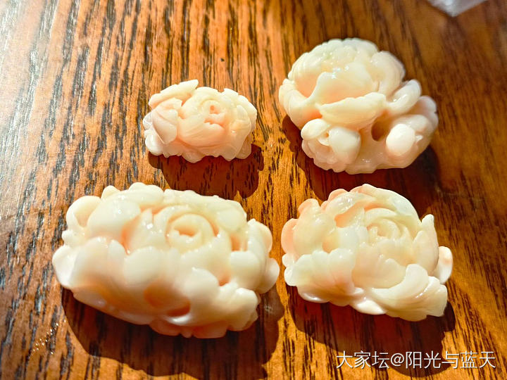 我的珍珠_珍珠