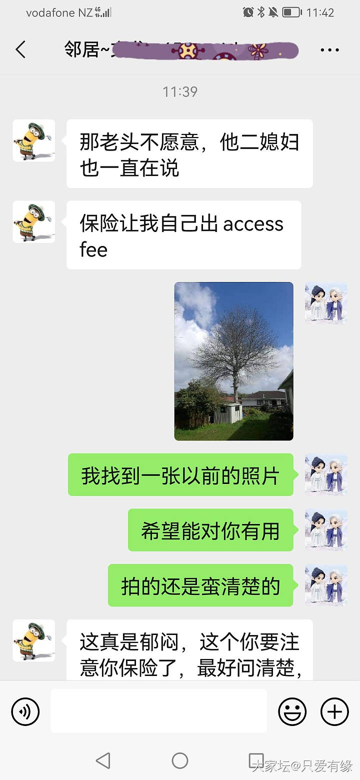 奥克兰飓风过后，我哭了_闲聊