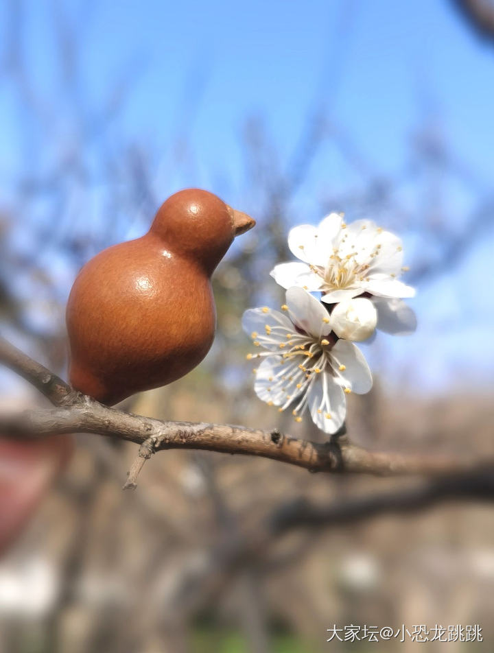 大胖和小胖_葫芦