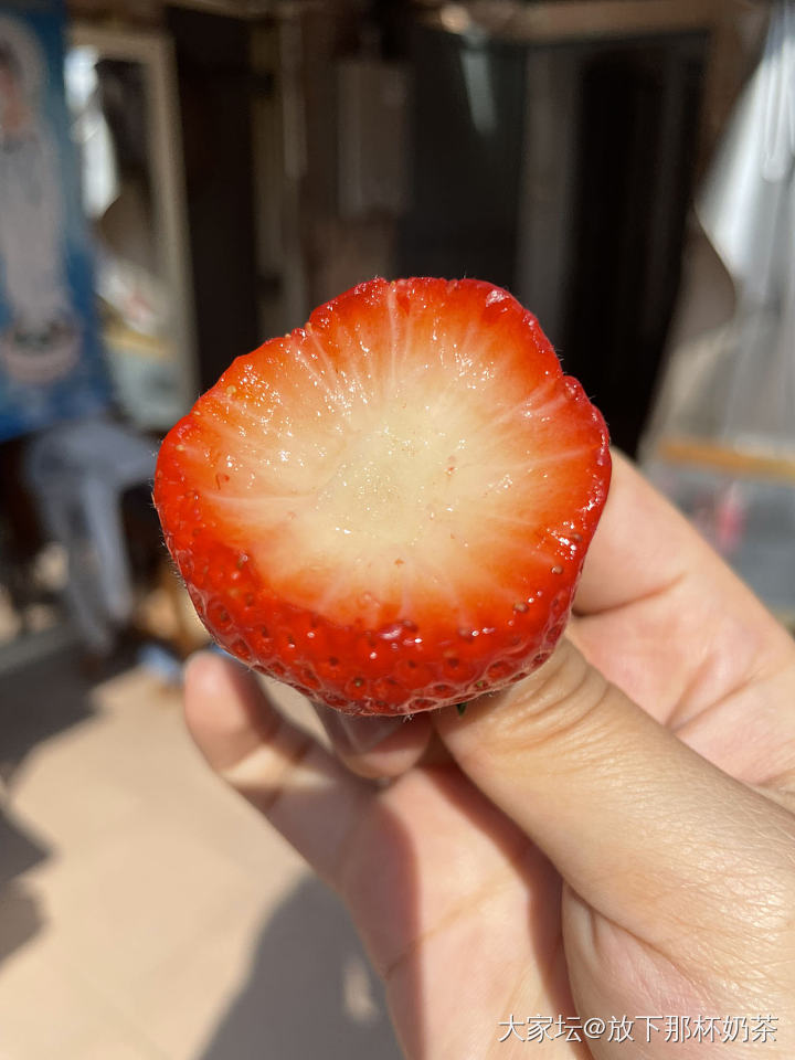 妈种的草莓丰收啦_美食