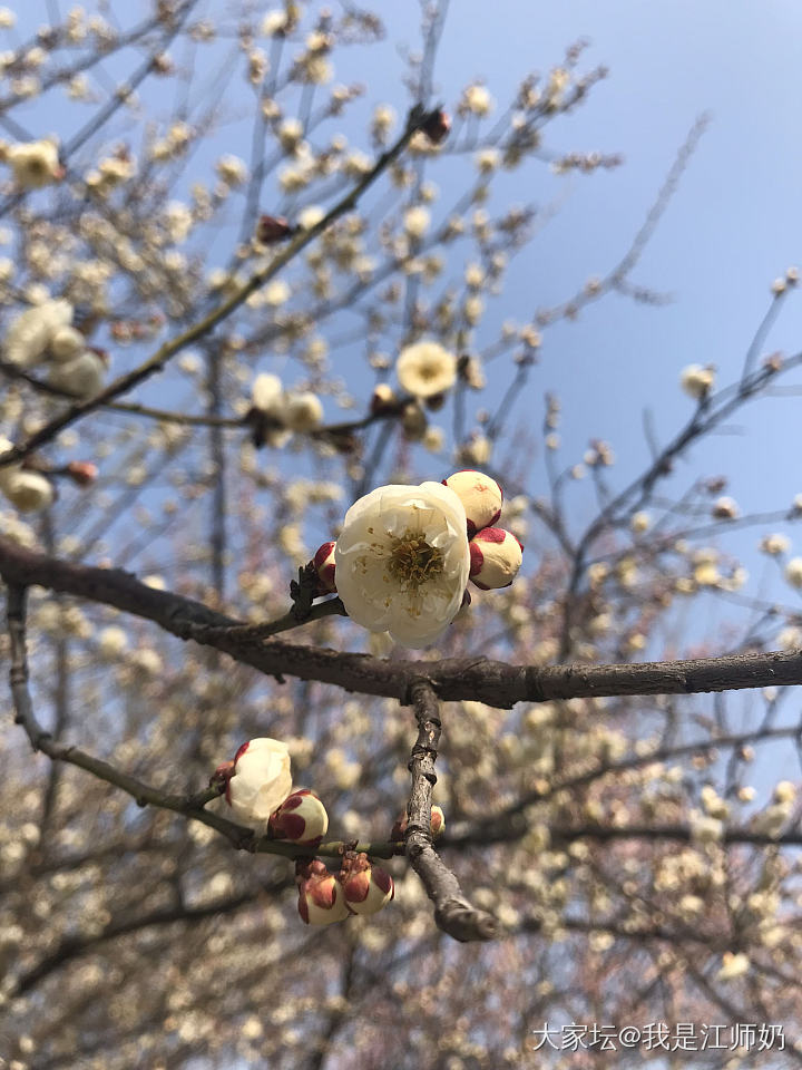 太阳下面看看，气色挺好的！坚持管住嘴迈开腿！_戒指银