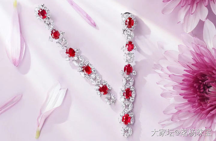 缅甸红宝石耳坠～_红宝石