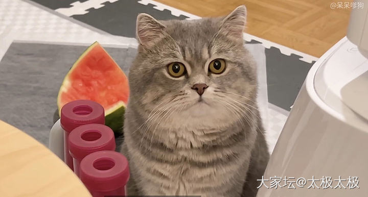 悄悄问一下，大家看待培育钻，会像看高仿包包一样吗？_培育钻