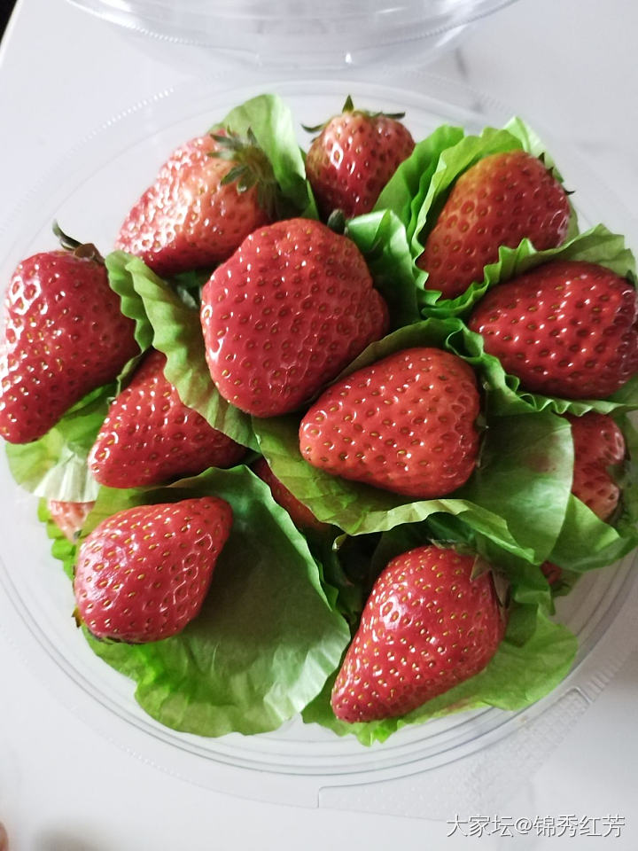 草莓🍓_水果