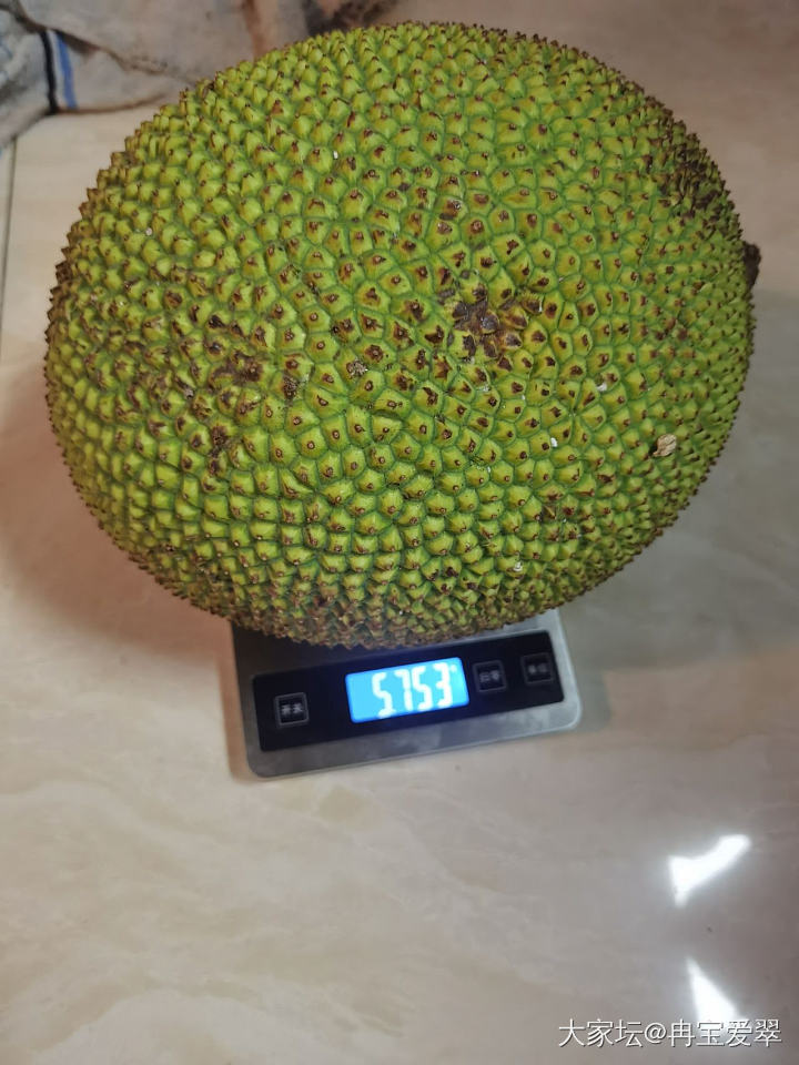 闹心的网购
买了一个菠萝蜜 缺斤少两 买的规格是13-15斤 结果12都不到 
..._大家谈水果