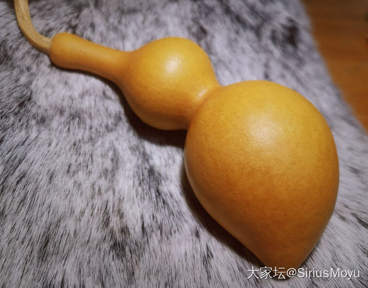 晒个葫芦_葫芦文玩