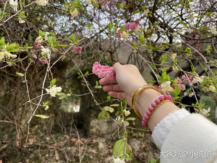 春天来了