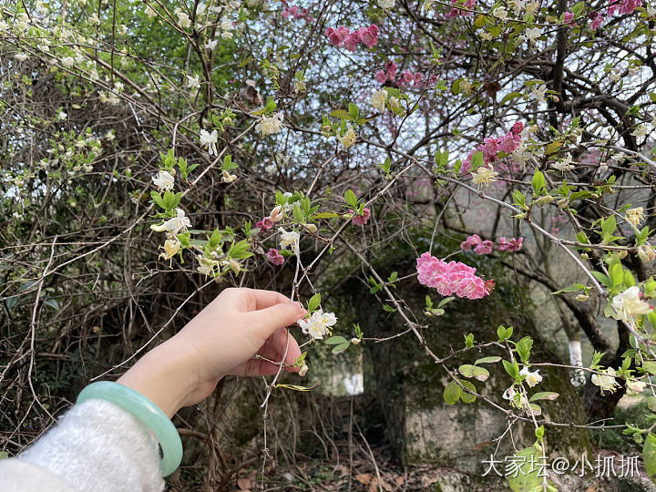 春天来了