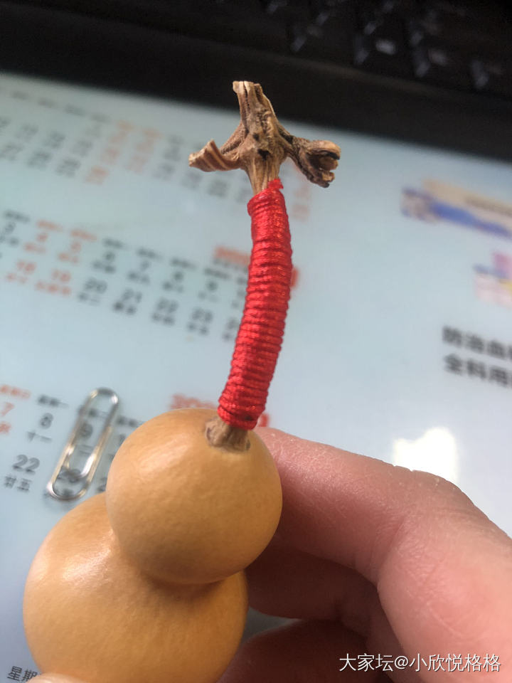好久没来逛坛子了 最近都玩儿葫芦去了_葫芦